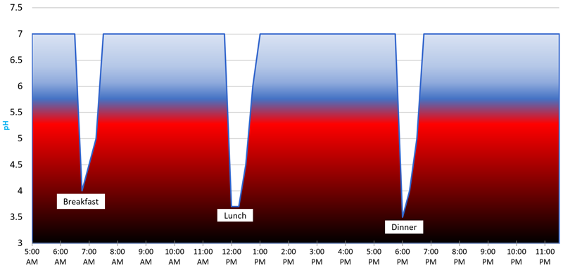 Chart showing acid levels in mouth after meals